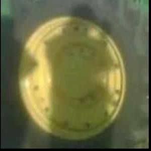 Meet your Posher, Benjamin